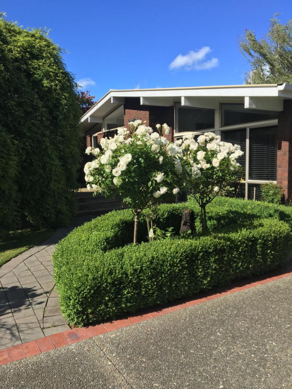 Quiet Boutique Generous Breakfast Hotell Palmerston North Eksteriør bilde